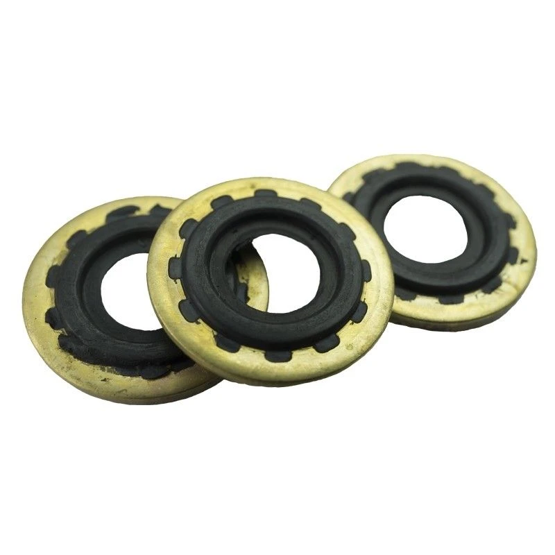 O-Ring And Brass Washer Set